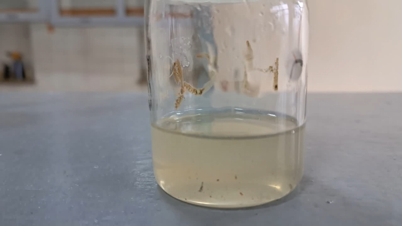 Electrospinning: Solution of Polystyrene in Methylene Chloride